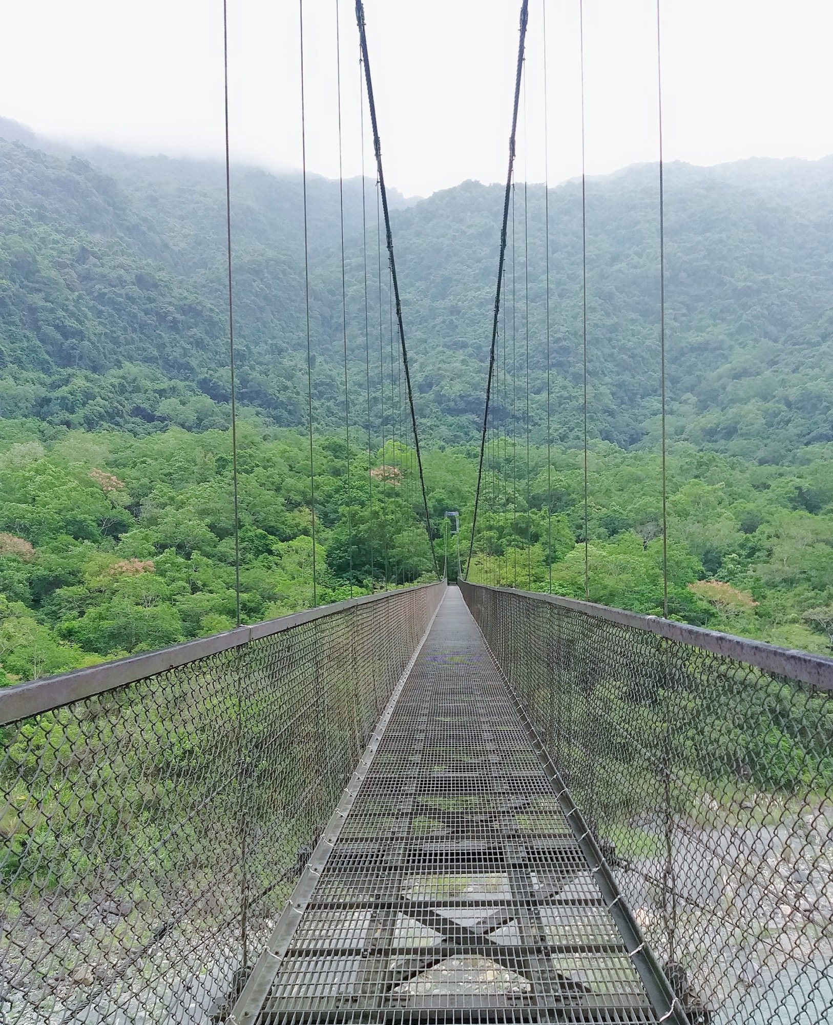 鹿鳴吊橋 (祥凌)